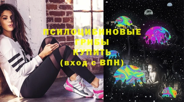 PSILOCYBIN Зеленодольск