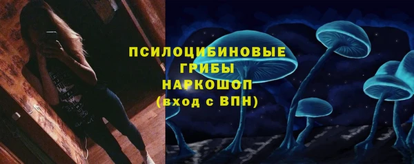 PSILOCYBIN Зеленодольск