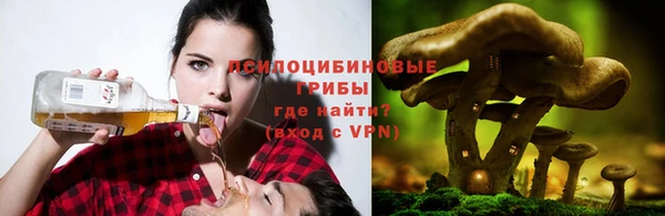 каннабис Зеленокумск