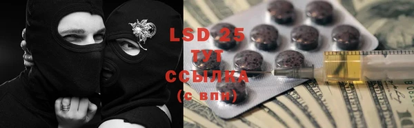 PSILOCYBIN Зеленодольск